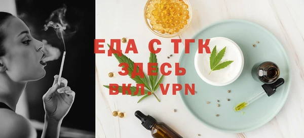 индика Медногорск