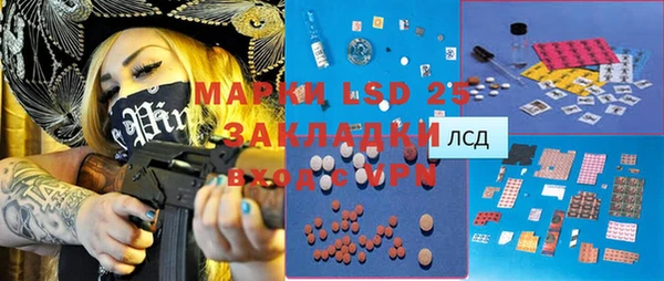 индика Медногорск