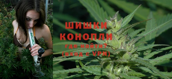 индика Медногорск