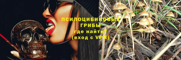 индика Медногорск