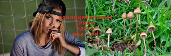 индика Александровское