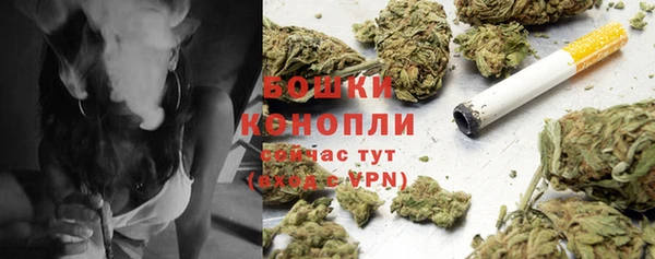 индика Медногорск