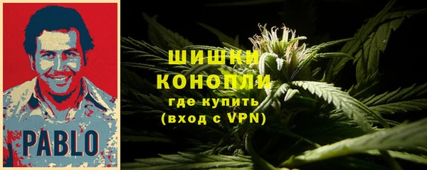 стафф Мегион