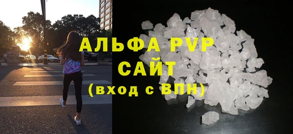 индика Медногорск