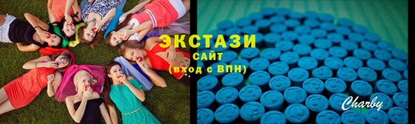 индика Медногорск