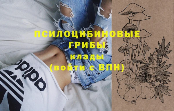 амфетамин Медвежьегорск