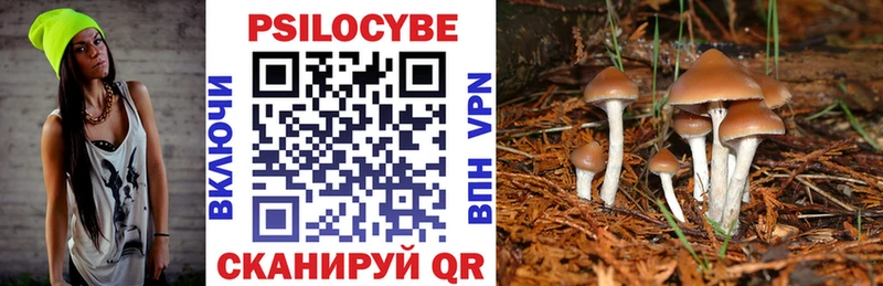Псилоцибиновые грибы ЛСД Калач